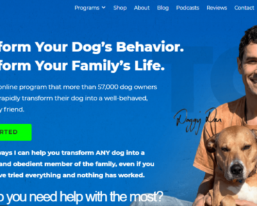 Dog Trainer Doggy Dan Review 2022